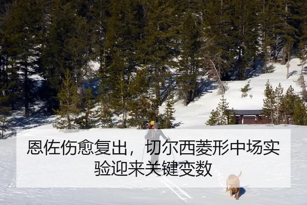 en-zuo-shang-yu-fu-chu-qie-er-xi-ling-xing-zhong-chang-shi-yan-ying-lai-guan-jian-bian-shu-2-605.jpg