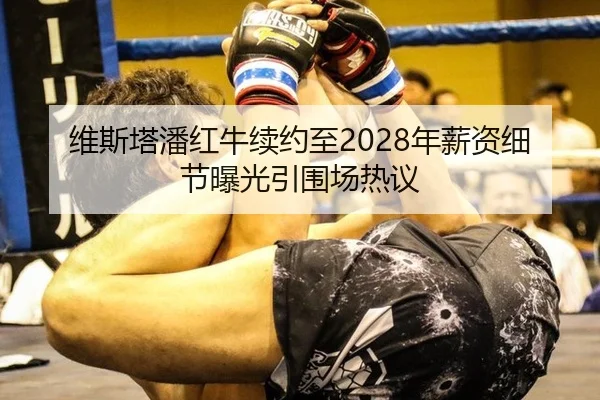 维斯塔潘红牛续约至2028年薪资细节曝光引围场热议