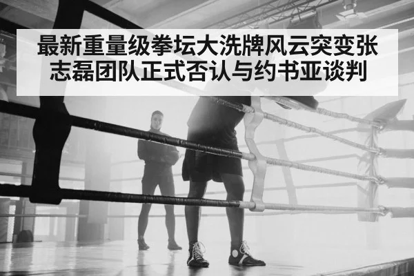 最新重量级拳坛大洗牌风云突变张志磊团队正式否认与约书亚谈判